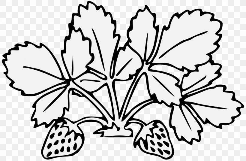 Leaf Plant Stem Floral Design Clip Art, PNG, 1237x810px, Leaf, Area, Art, Artwork, Black And White Download Free