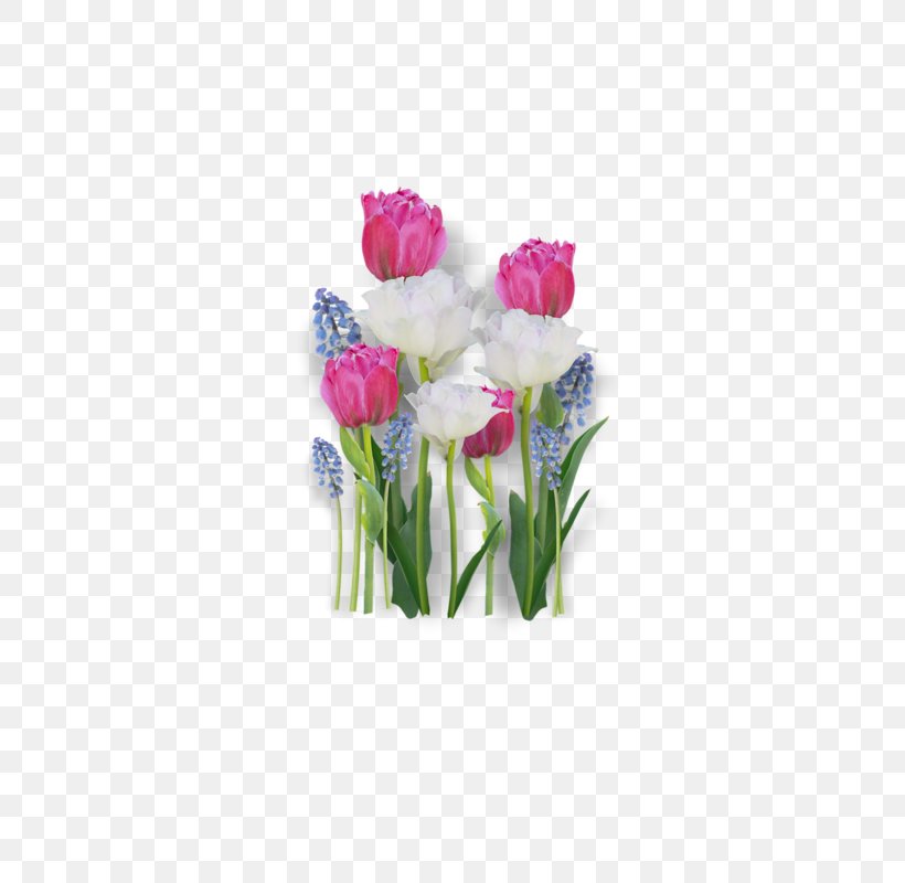 Tulip Flower Bouquet Cut Flowers Clip Art, PNG, 800x800px, Tulip, Artificial Flower, Cut Flowers, Drawing, Floristry Download Free