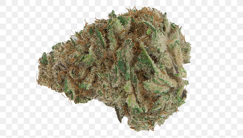 Cannabis Kush Universal Herbs Bud Nugg: Medical Marijuana Delivery, PNG, 678x468px, Cannabis, Bud, Denver, Flower, Hemp Download Free