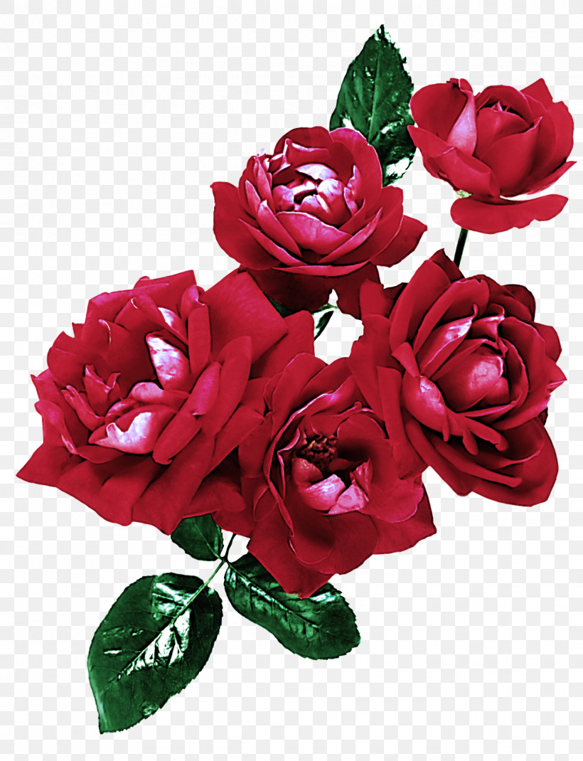 Garden Roses, PNG, 1226x1600px, Flower, Cut Flowers, Garden Roses, Petal, Pink Download Free