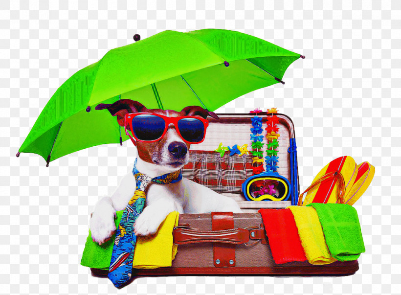 Glasses, PNG, 992x730px, Umbrella, Dog, Glasses, Play Download Free