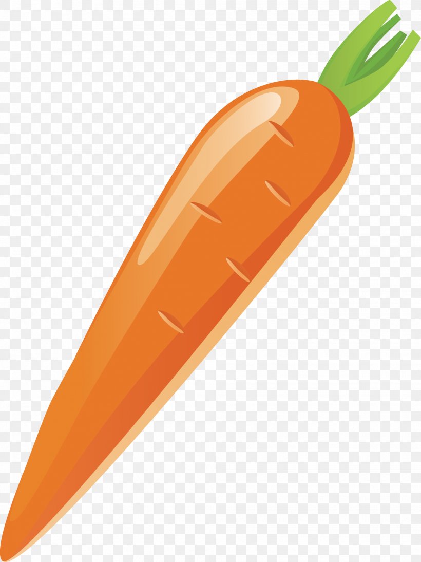 Carrot Vegetable, PNG, 1966x2624px, Carrot, Cooking, Food, Green, Meal Download Free