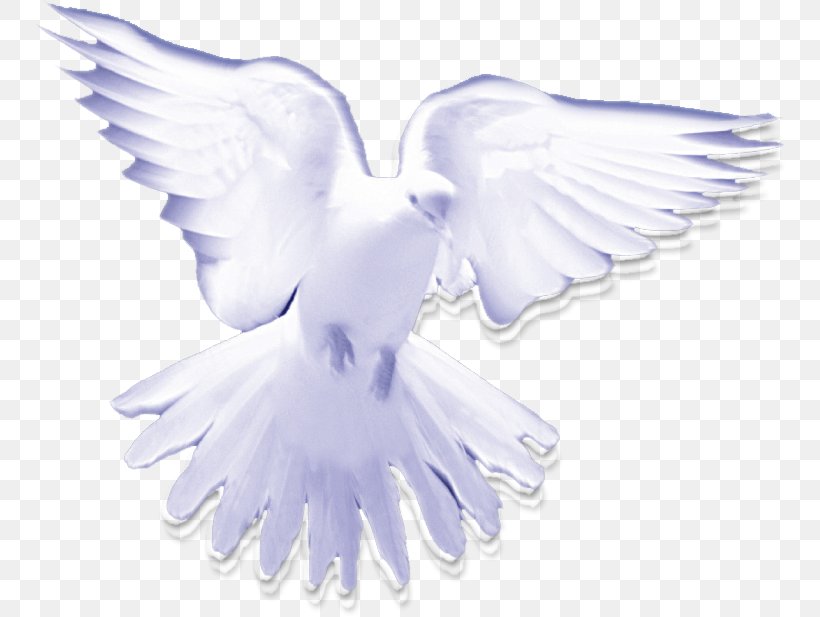 Christian Clip Art Holy Spirit In Christianity Pigeons And Doves, PNG, 752x617px, Christian Clip Art, Beak, Bird, Christian Church, Christian Prayer Download Free