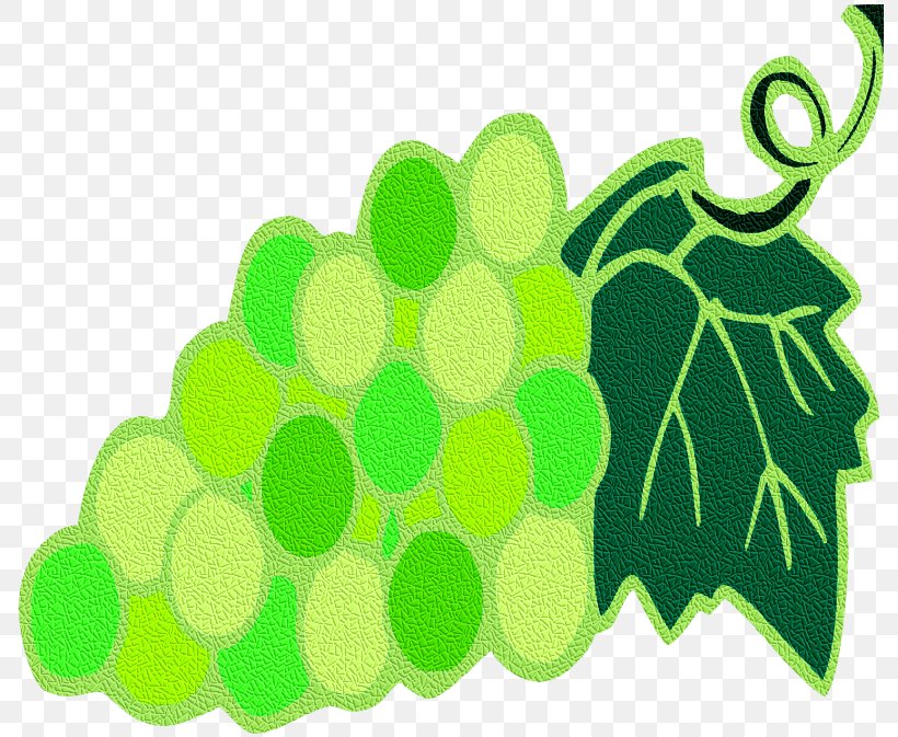 Grape Green Leaf Clip Art, PNG, 799x673px, Grape, Flora, Food, Fruit, Grapevine Family Download Free