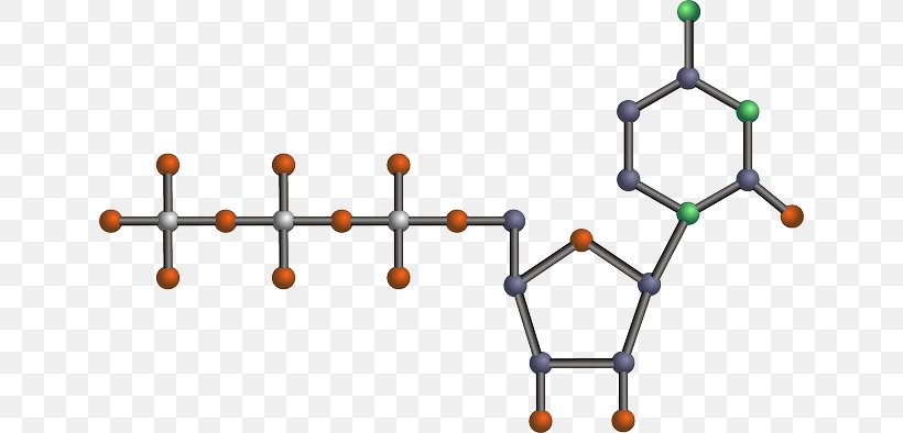 Nucleic Acid Structure DNA And RNA, PNG, 640x394px, Nucleic Acid, Acid, Amino Acid, Body Jewelry, Carbohydrate Download Free