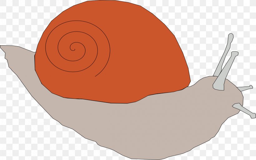 Snail Clip Art, PNG, 2400x1501px, Snail, Animation, Food, Fruit, Invertebrate Download Free