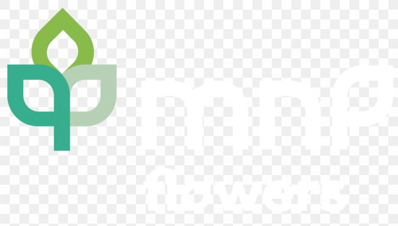 Logo Brand Font, PNG, 1024x581px, Logo, Brand, Green, Text Download Free