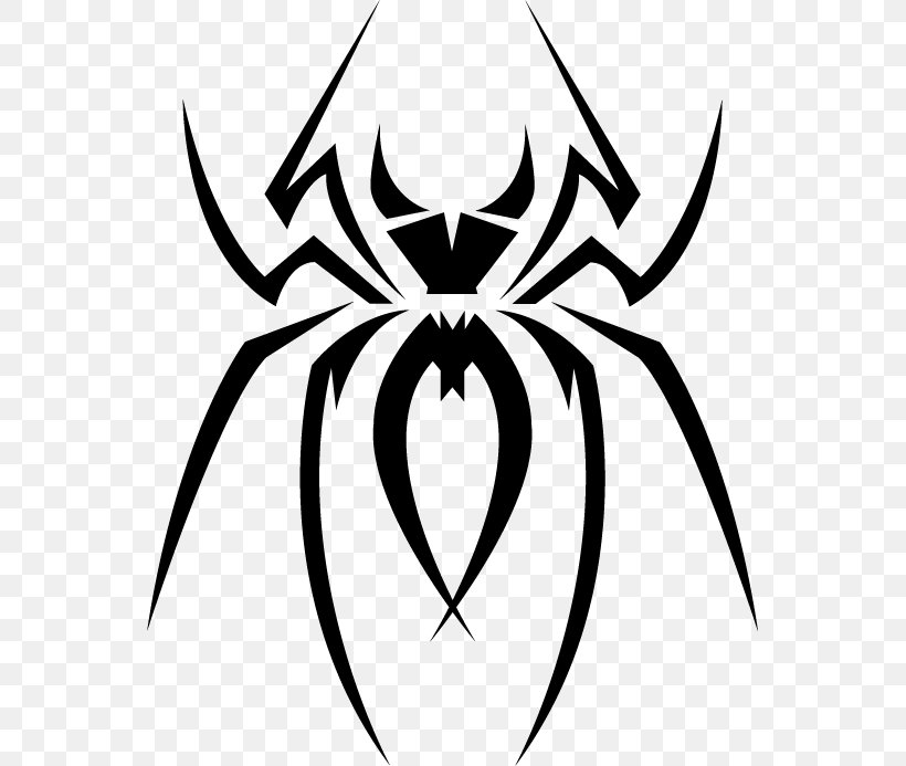 Spider Web Tribe Clip Art, PNG, 553x693px, Spider, Artwork, Black, Black And White, Black House Spider Download Free