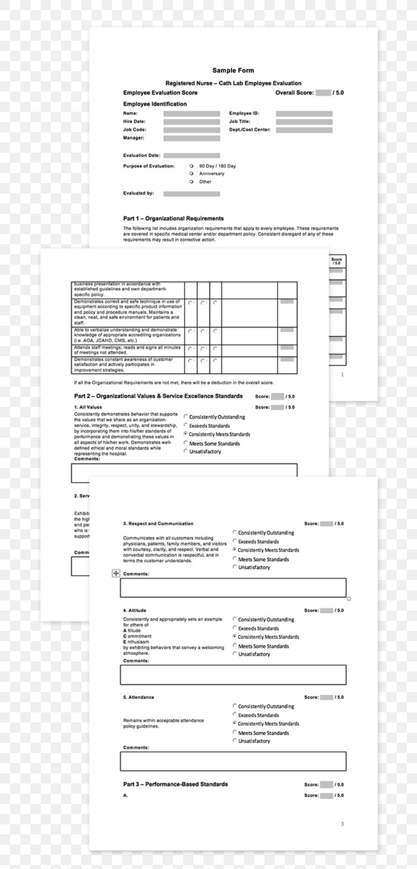 Template Document Evaluation Information, PNG, 732x1708px, Template, Area, Black And White, Competence, Computer Software Download Free