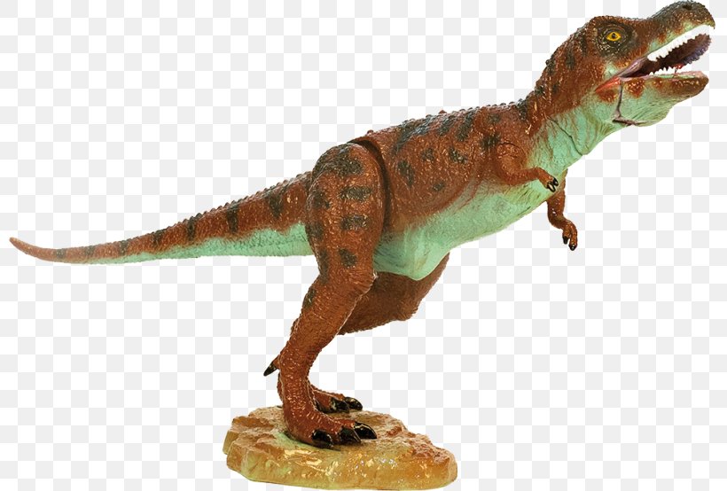 Tyrannosaurus Giganotosaurus Spinosaurus Dinosaur Velociraptor, PNG, 800x554px, Tyrannosaurus, Age, Animal Figure, Child, Dino Dan Download Free