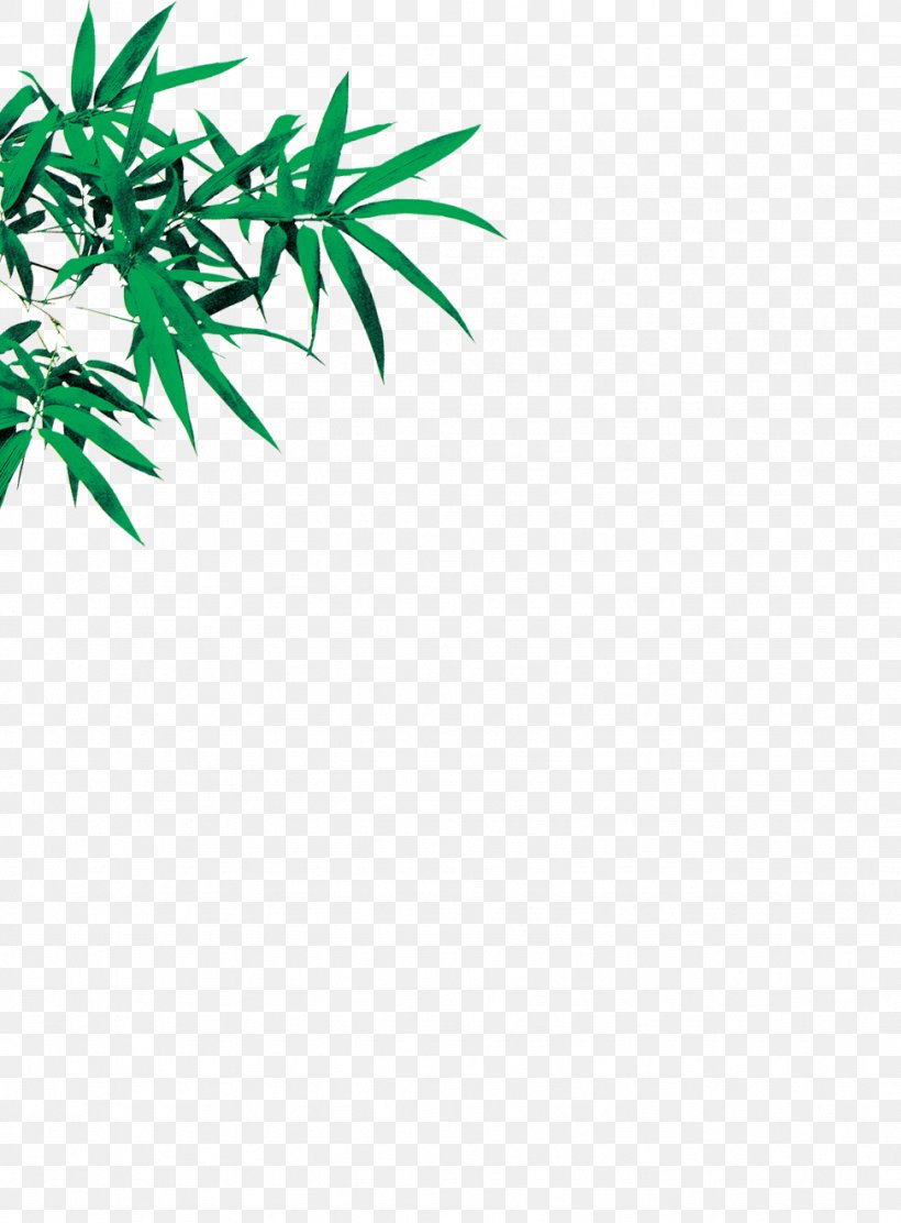Bamboo Leaf Euclidean Vector, PNG, 973x1320px, Bamboo, Bamboe, Branch, Grass, Green Download Free
