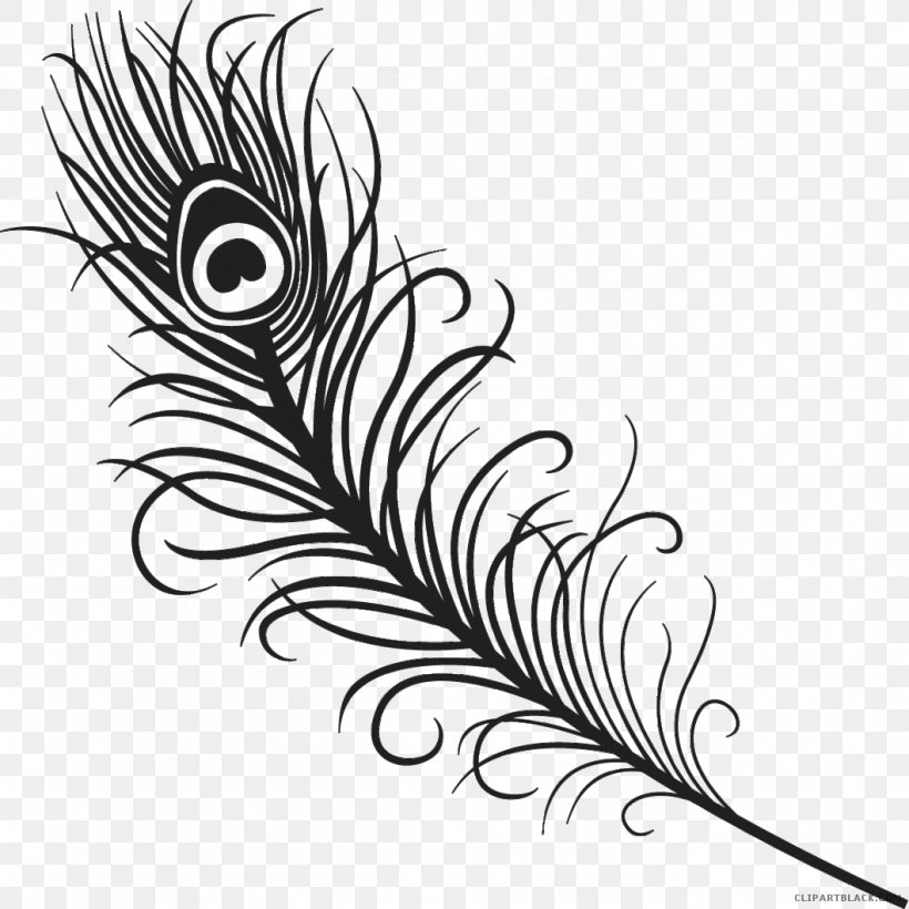 Clip Art Feather Image Drawing Peafowl, PNG, 1059x1060px, Feather, Bird, Black, Black And White, Color Download Free