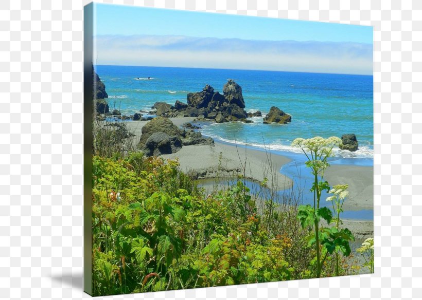 Nature Reserve Gallery Wrap Canvas Art Photography, PNG, 650x584px, Nature Reserve, Art, Bay, Canvas, Coast Download Free