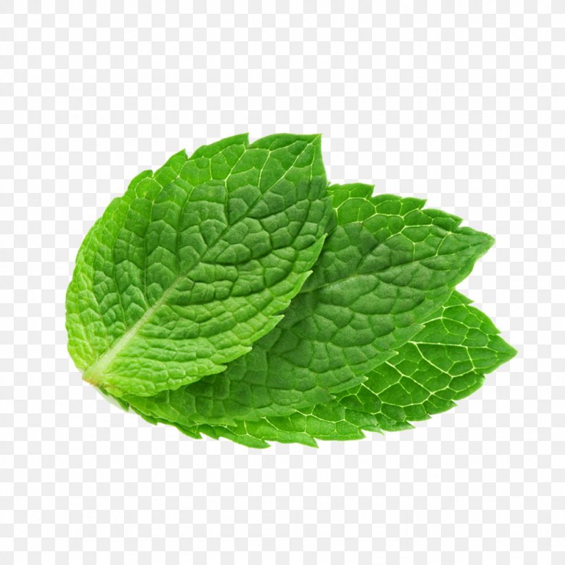 Peppermint Mentha Spicata Lip Balm Lemon Balm Water Mint, PNG, 1024x1024px, Peppermint, Extract, Food, Herb, Herbalism Download Free