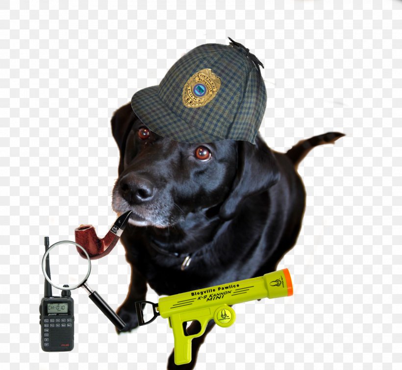 Dog Breed Vizsla Leash Dog Collar, PNG, 1600x1474px, Dog Breed, Breed, Collar, Com, Dog Download Free