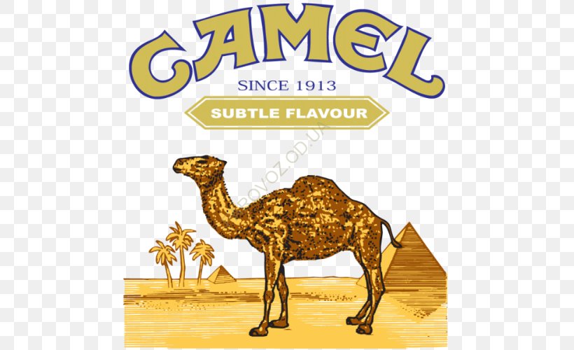 Bactrian Camel Dromedary Logo, PNG, 500x500px, Bactrian Camel, Arabian Camel, Brand, Camel, Camel Like Mammal Download Free