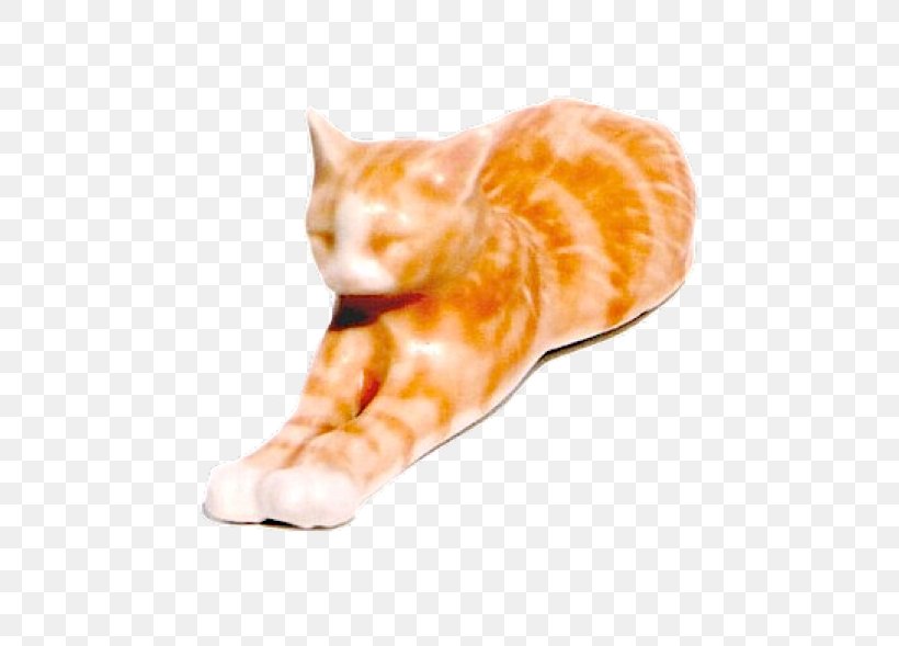 Cat Tonk Whiskers Animal Brandy, PNG, 602x589px, Cat, Animal, Apricot, Boot, Brandy Download Free
