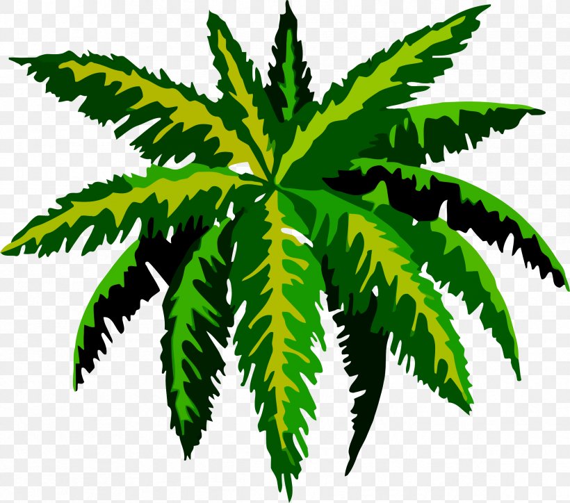 Drawing Tropics Clip Art, PNG, 2384x2107px, Drawing, Arecaceae, Art, Art Museum, Cannabis Download Free