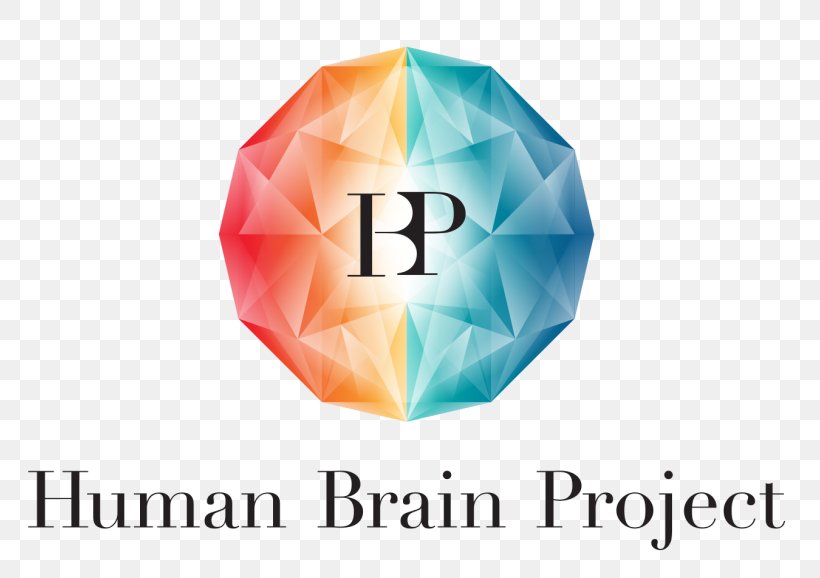 Human Brain Project Research Neuroscience, PNG, 800x578px, Human Brain Project, Brain, Brand, Fet Flagships, Future And Emerging Technologies Download Free