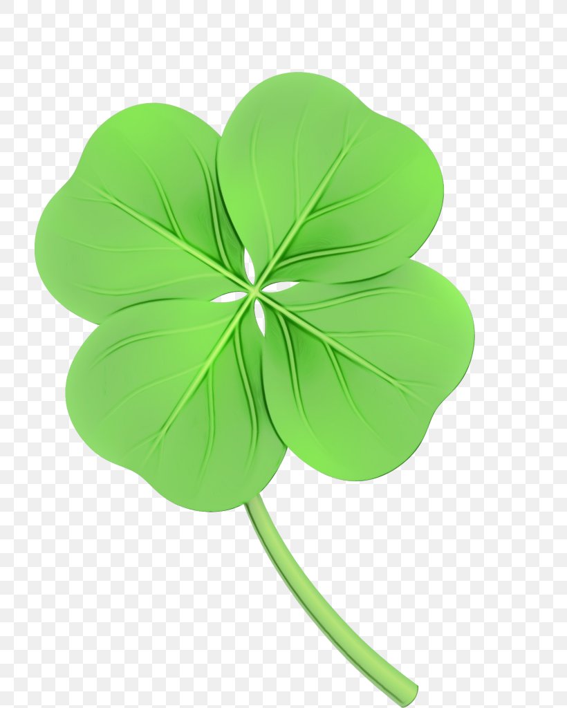 Saint Patricks Day, PNG, 763x1024px, Watercolor, Clover, Flower, Flowering Plant, Fourleaf Clover Download Free