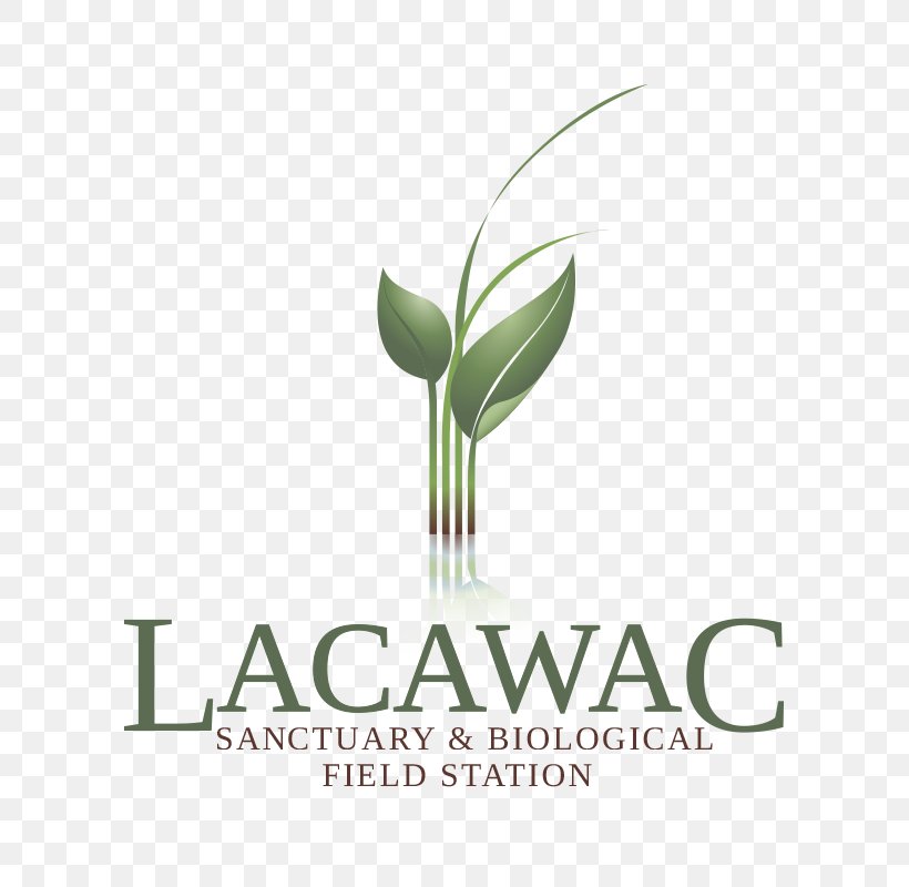 Lacawac Sanctuary Non-profit Organisation Hawley Management Organization, PNG, 600x800px, Nonprofit Organisation, Brand, Business, Education, Estate Planning Download Free