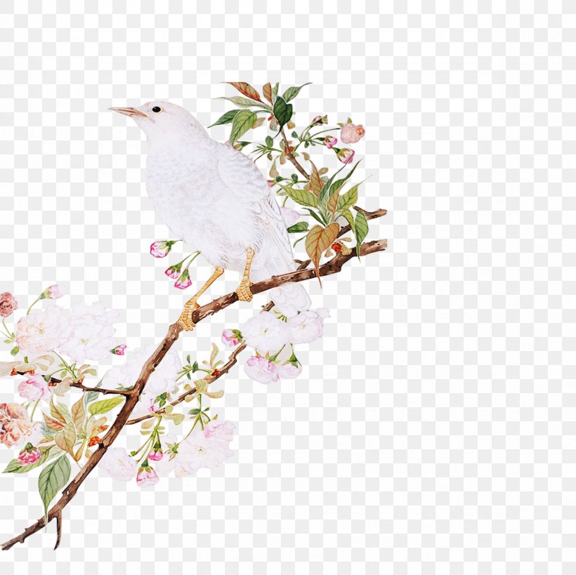 Bird-and-flower Painting, PNG, 2362x2362px, Birdandflower Painting, Ameixeira, Beak, Bird, Blossom Download Free