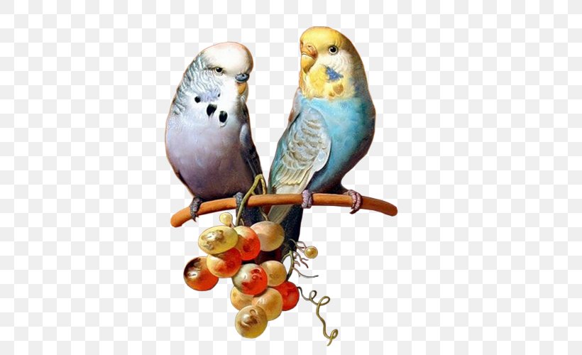 Bird Budgerigar Parakeet Basset Hound Painting, PNG, 500x500px, Bird, Animal, Art, Artist, Basset Hound Download Free