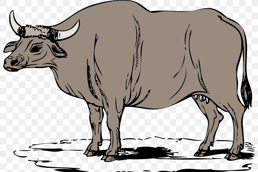 Ox Cattle Website Clip Art, PNG, 800x548px, Cattle, Black And White, Bull, Cattle Like Mammal, Copyright Download Free