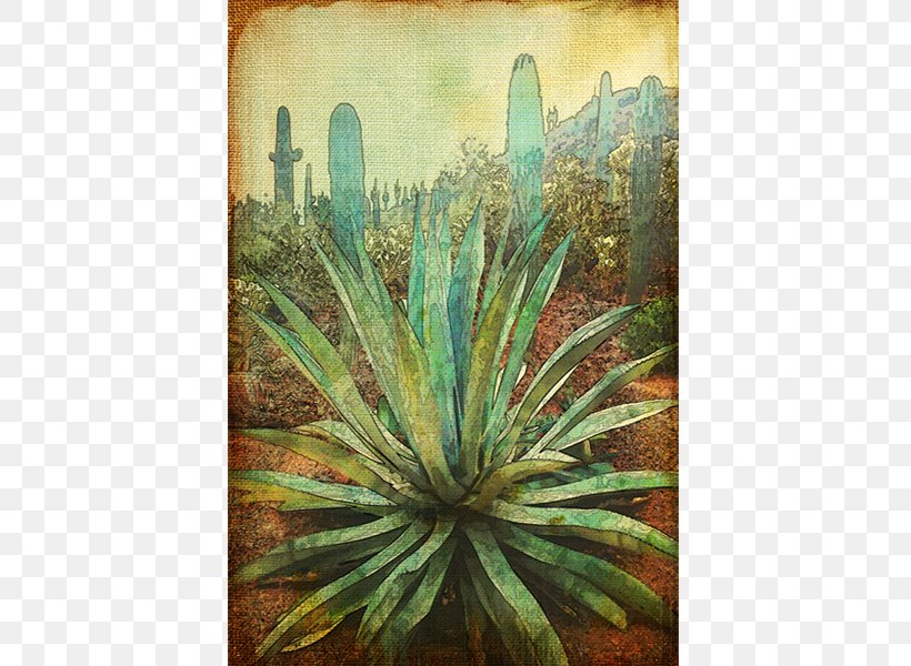 Painting Sorting Algorithm Art Big O Notation Canvas, PNG, 600x600px, Painting, Agave, Agave Azul, Aloe, Aloe Vera Download Free