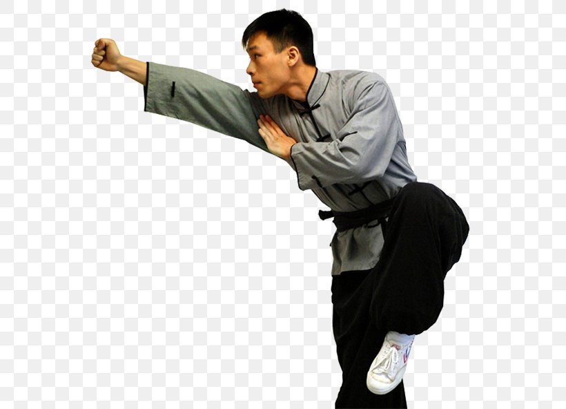 Styles Of Chinese Martial Arts Xing Yi Quan Yiquan, PNG, 592x592px, Chinese Martial Arts, Arm, Boxing, Fujian White Crane, Joint Download Free