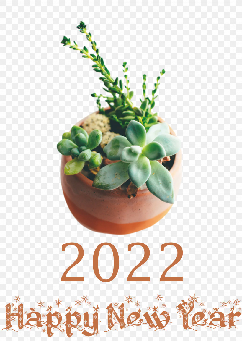 2022 Happy New Year 2022 New Year 2022, PNG, 2133x3000px, Succulent Plant, Aesthetics, Beauty, Cactus, Flower Download Free