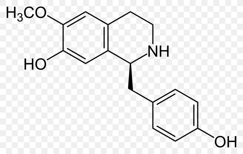 Coclaurine Tetrahydroisoquinoline Methyl Group Nicotinic Acetylcholine Receptor Standard State, PNG, 1024x650px, Methyl Group, Acetylcholine, Acetylcholine Receptor, Area, Black Download Free
