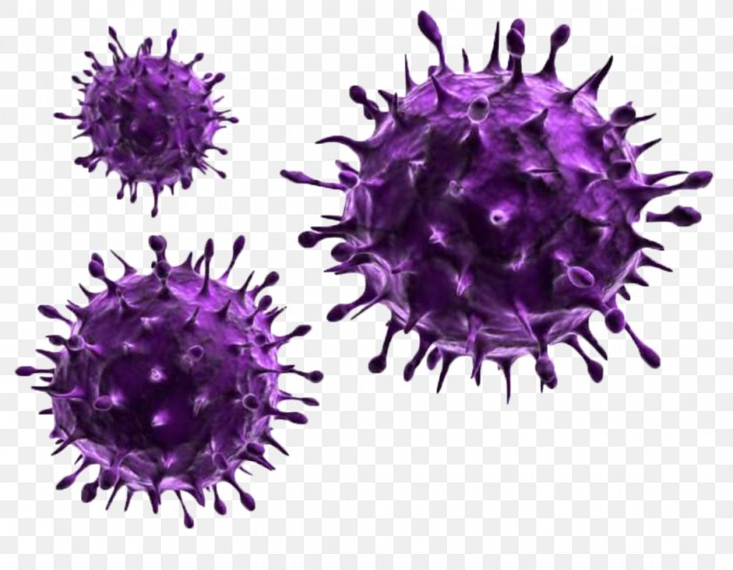 Influenza A Virus Influenza A Virus Infection Pathogen, PNG, 1028x800px, Virus, Capsid, Cell, Computer Virus, Disease Download Free