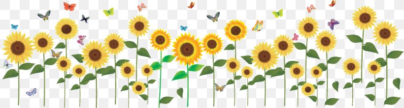 Sticker Common Sunflower, PNG, 1024x275px, Sticker, Common Sunflower, Floral Design, Floristry, Flower Download Free