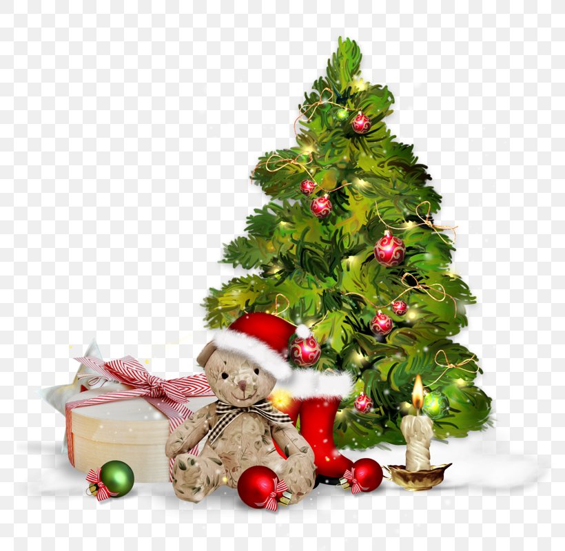 Christmas Tree, PNG, 800x800px, Christmas Tree, Christmas, Christmas Card, Christmas Decoration, Christmas Elf Download Free