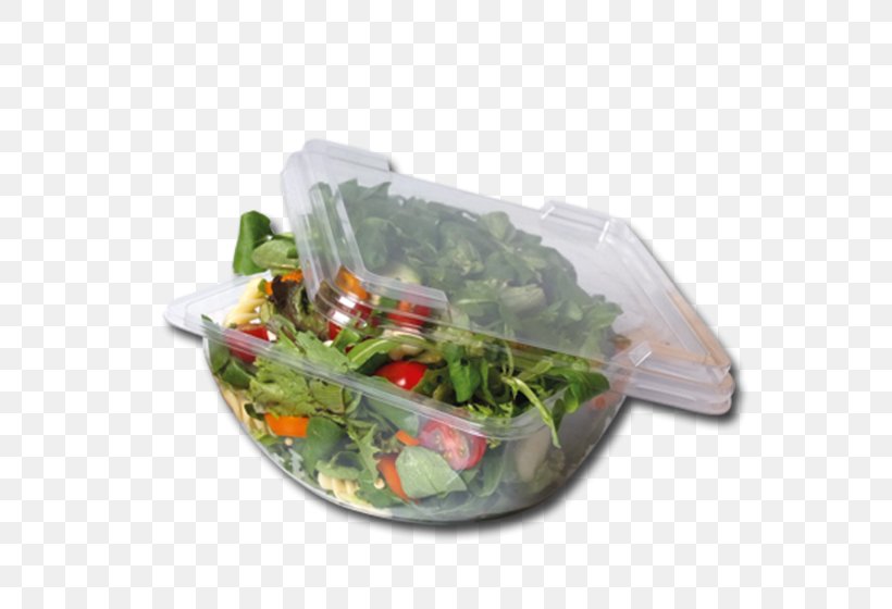 Leaf Vegetable Plastic Flowerpot Herb Tableware, PNG, 560x560px, Leaf Vegetable, Flowerpot, Food, Herb, Plastic Download Free