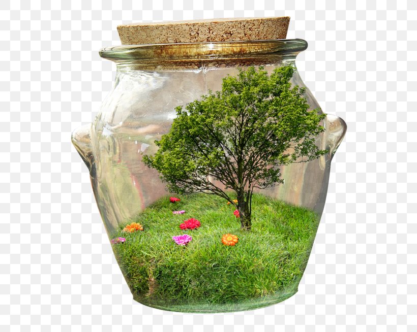 Bottle Jar Clip Art Image, PNG, 600x654px, Bottle, Aquarium, Aquarium Decor, Aquatic Plant, Blog Download Free
