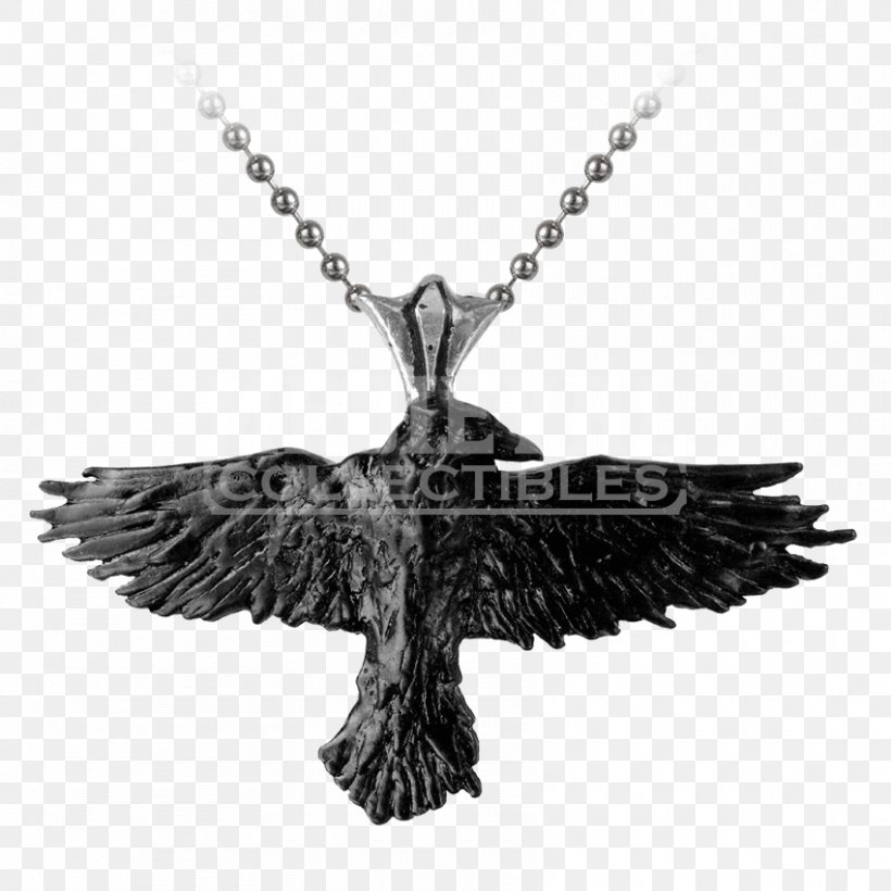 Charms & Pendants Necklaces And Pendants Earring The Raven, PNG, 850x850px, Charms Pendants, Amulet, Bird, Bird Of Prey, Black And White Download Free