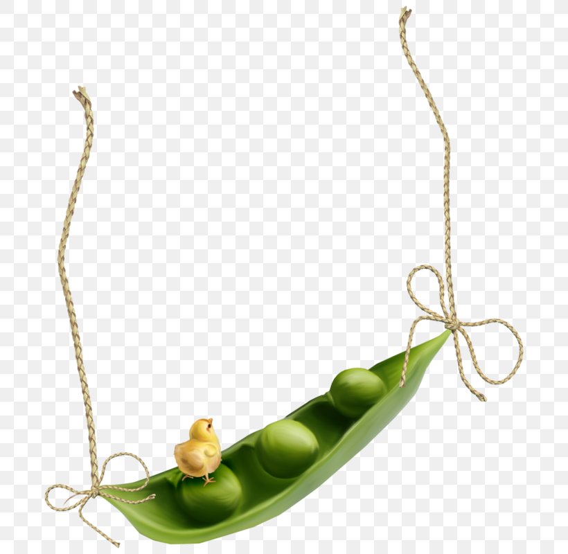 Clip Art Image Picture Frames Green Pea, PNG, 708x800px, Picture Frames, Bean, Fashion Accessory, Green Pea, Jewellery Download Free