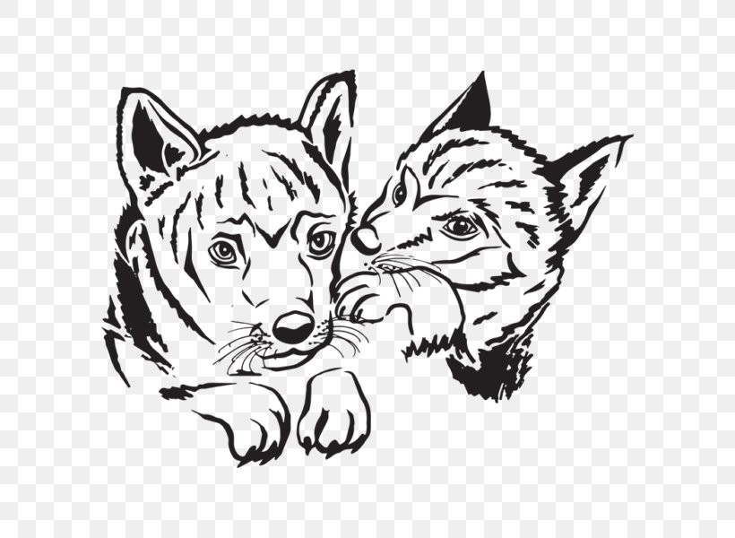Whiskers Cat Red Fox Line Art Sketch, PNG, 800x600px, Whiskers, Artwork, Black And White, Canidae, Carnivoran Download Free