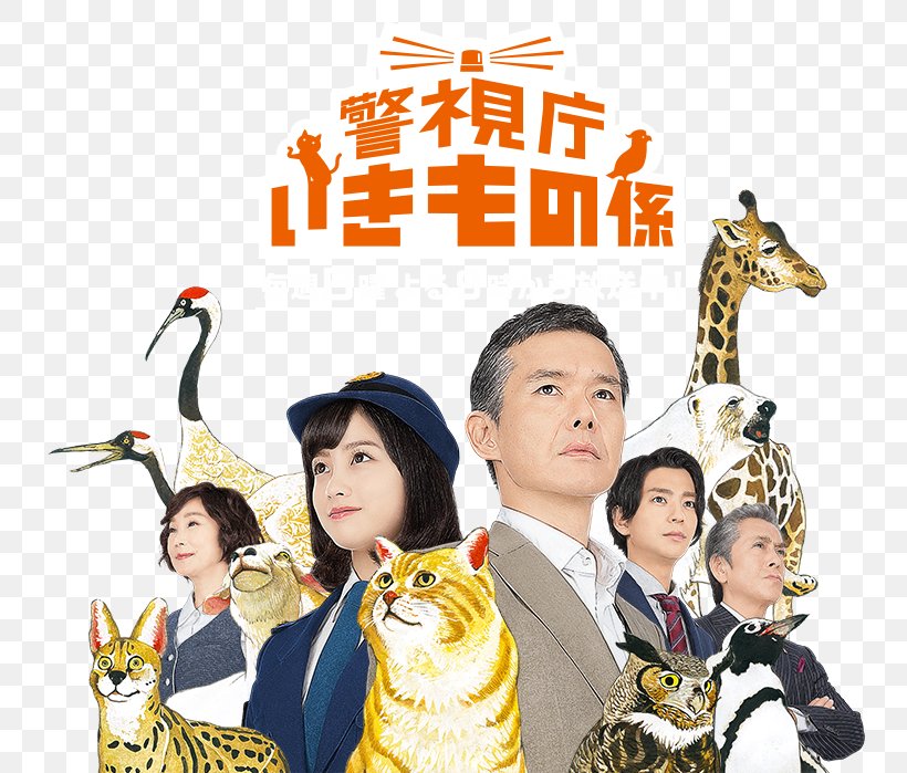 Atsuro Watabe 警視庁いきもの係 Fuji TV Police Drama Japan, PNG, 747x699px, Fuji Tv, Drama, Friendship, Grey Parrot, Japan Download Free
