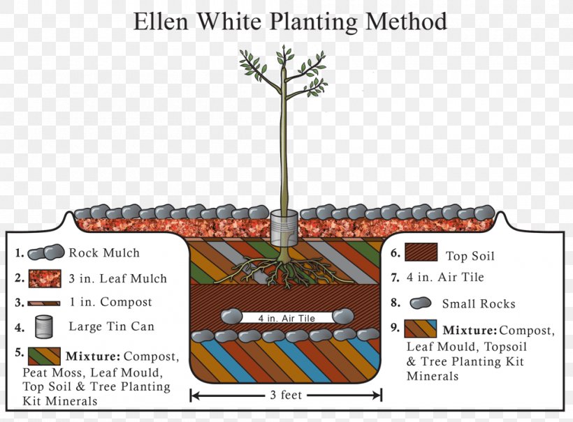 Country Living Tree Planting Sowing Gardening, PNG, 1000x739px, Country Living, Area, Diagram, Ellen G White, Fruit Download Free