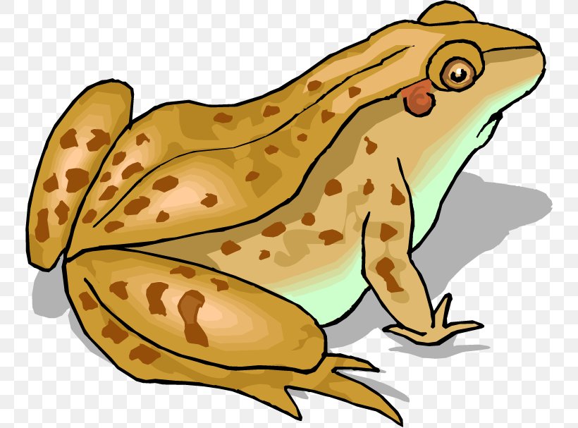 Frog And Toad Clip Art, PNG, 750x607px, Frog, Amphibian, Fauna, Fish, Food Download Free