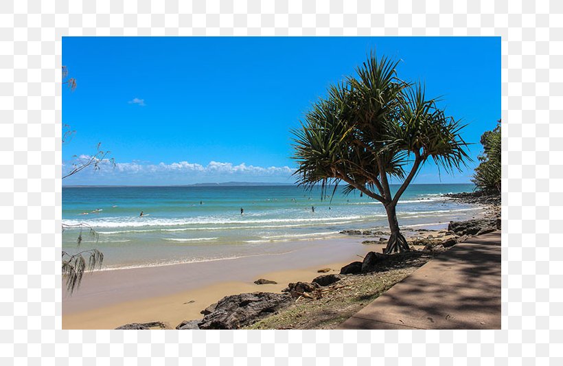 Grampians National Park Brisbane Vacation Sea, PNG, 800x533px, Grampians National Park, Arecales, Bay, Beach, Brisbane Download Free