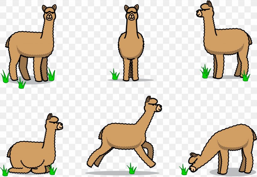 Stick Figure Alpaca, PNG, 4985x3445px, Llama, Alpaca, Animation, Arabian Camel, Camel Download Free