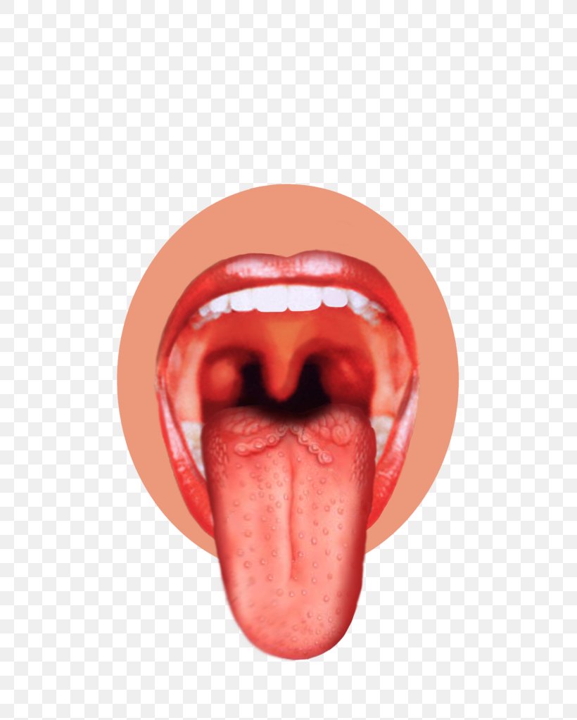 Tongue Chart Taste Buds