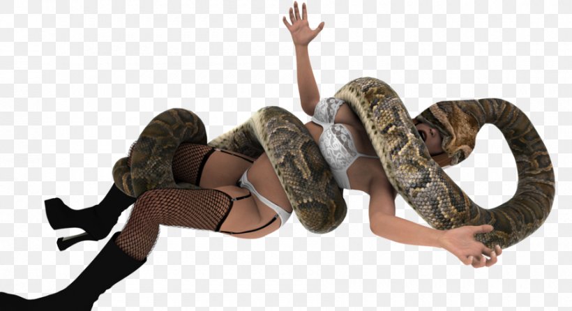 Boa Constrictor Snake Green Anaconda Animaatio Drawing, PNG, 900x490px, Boa Constrictor, Anaconda, Animaatio, Animal, Art Download Free
