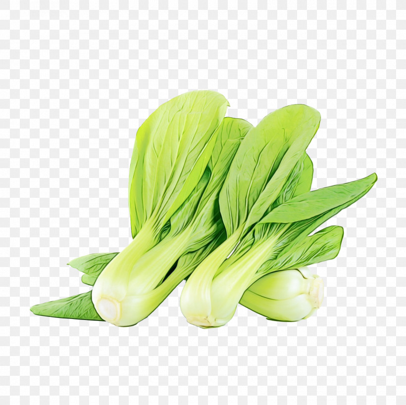 Leaf Vegetable Choy Sum Komatsuna Scallion Vegetable, PNG, 1600x1600px, Watercolor, Choy Sum, Komatsuna, Leaf Vegetable, Paint Download Free