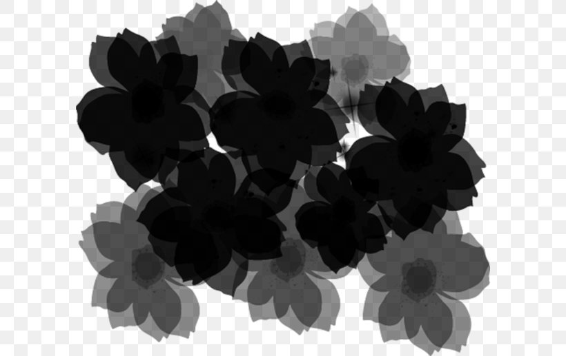 Product Pattern Black M, PNG, 600x517px, Black M, Black, Blackandwhite, Flower, Leaf Download Free