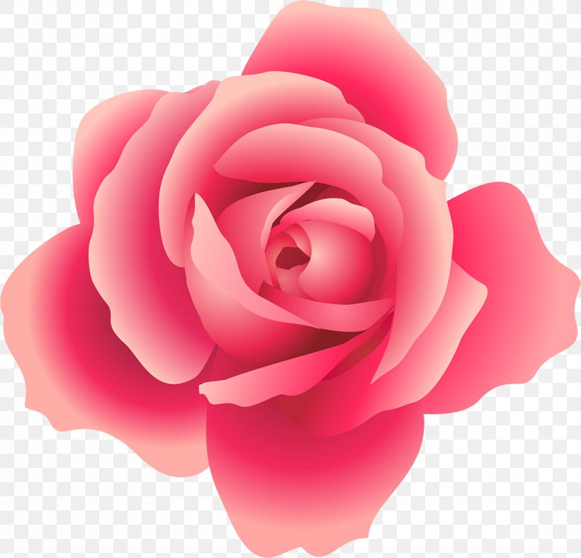 Rose Clip Art, PNG, 1200x1153px, Rose, China Rose, Close Up, Cut Flowers, Floribunda Download Free